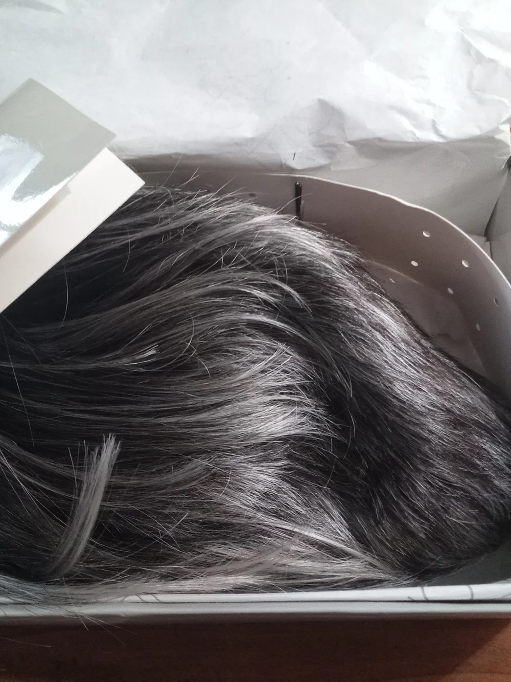 Raquel Welch Hair Wig - Elegant Gray Shade
